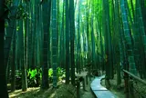 鎌倉 竹苔寺巡り