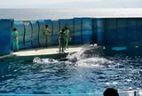 新江ノ島水族館