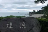 桂浜
