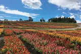 那須フラワーワールド
