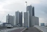 コットンハーバー地区