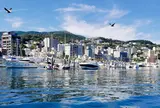 熱海遊覧船サンレモ