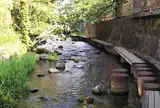 源兵衛川（せせらぎ散歩）