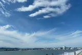 鳥の海