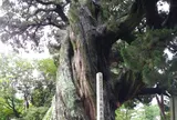 城願寺