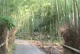 竹林の小径