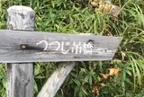つつじ吊橋