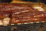 ぬりや本店