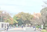 鶴舞公園