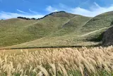 曽爾高原