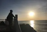 桂浜