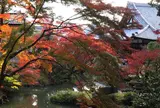 金戒光明寺