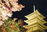 東寺（教王護国寺）