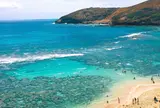 Hanauma Bay（ハナウマ湾）