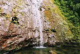 Manoa Falls