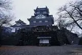 越前大野城