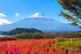 河口湖自然生活館