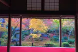 圓光寺