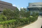 OISTシーサイドハウス