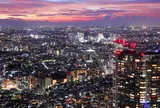 東京都庁展望室