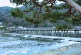 渡月橋
