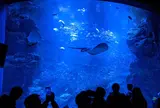 京都水族館