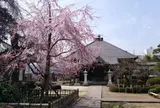 青梅山 無量寿院 金剛寺