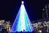 グリーンベルト