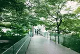 ポーラ美術館
