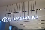 ハルカス300 展望台