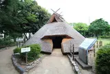 田能遺跡