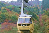 宝登山ロープウェイ
