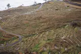 白米の千枚田
