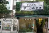 SUN FLOWER