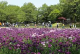 市民の森(阿波岐原森林公園)