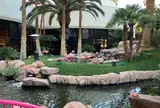 Flamingo Hotel