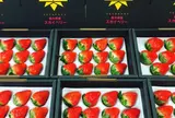 吉澤いちご園