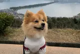 天橋立