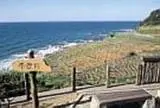 白米の千枚田