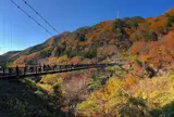 鬼怒楯岩大吊橋