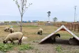 いわぬまひつじ村