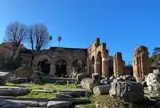Foro Romano （フォロ・ロマーノ）