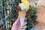 Gelateria del Teatro
