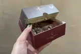 Pompi Tiramisù