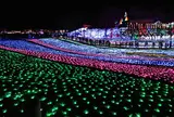 東京ドイツ村