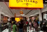 ビッグ アイランド キャンディーズ