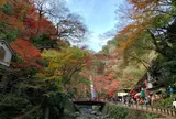 箕面公園