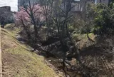 玉川上水旧水路 笹塚〜大山
