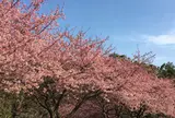 臼井城址