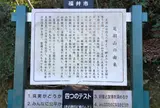 足羽山